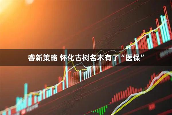 睿新策略 怀化古树名木有了“医保”