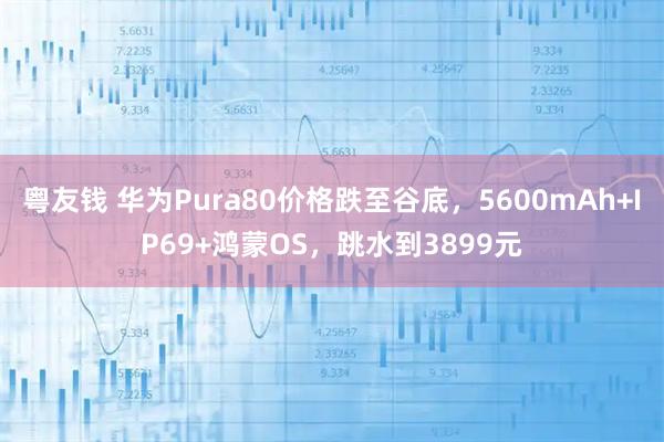 粤友钱 华为Pura80价格跌至谷底，5600mAh+IP69+鸿蒙OS，跳水到3899元